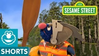 Sesame Street Grover Helps Piggies Up Creek  Super Grover 20 [upl. by Melessa]