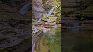 Waterfall and natural pool nature waterfall [upl. by Nylanna867]