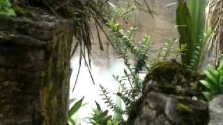 Punakaiki Blowholes and Pancake Rocks New Zealand [upl. by Spearing]