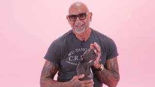 Dave Bautista The Puppy Interview [upl. by Ebert]