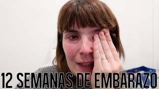 EMBARAZO MELLIZOS  12 semanas de embarazo VLOG  Mamá ingeniera [upl. by Yduj556]