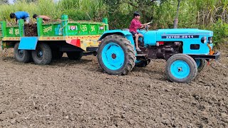 देसी गोबर की खाद डालने जा रहे हैं khet  HMT 2511 tractor new trolley [upl. by Glynias]