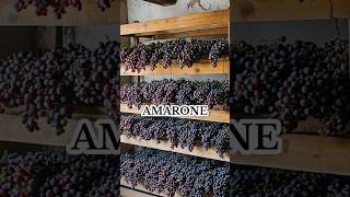 Amarone Şarabı şarap [upl. by Kanya61]