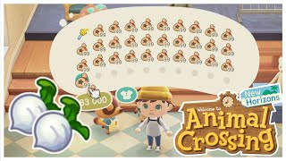 Guide Pour Gagner Un Maximum De Clochettes Avec Les Navets Dans Animal Crossing New Horizons [upl. by Semadar581]