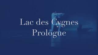 1 Prologue Lac des cygnes [upl. by Gavan457]