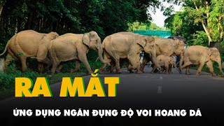 Ấn Độ ra mắt ứng dụng ngăn voi hoang dã đụng độ với con người [upl. by Gapin]