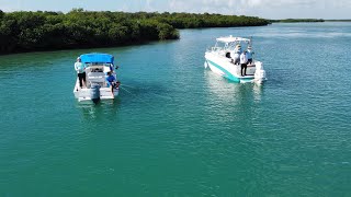 PESCA 🎣 EN MIAMI LOS MEJORES PESQUEROS MIAMI SECURITY AND NETWORK [upl. by Endo]