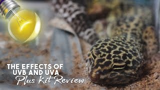 UVB UVA amp Leopard Geckos  Arcadia Mini UVB Kit Review [upl. by Bil]