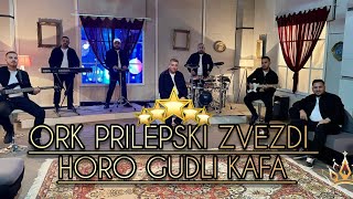 ORK PRILEPSKI ZVEZDI HORO GUDLI KAFA COVER NASER STRUJA LIVE 2024 [upl. by Theron751]