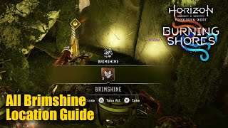 Horizon Forbidden West Burning Shores DLC  All Brimshine Location Guide [upl. by Nyleikcaj436]