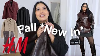 HampM’s Fall 2024 Collection Is Unbelievably Good Tryon Haul [upl. by Meier]