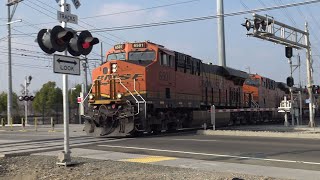 BNSF 6501 Manifest South Meets Light Rail Meadowview Rd Railroad Crossing Sacramento CA [upl. by Gladdy]