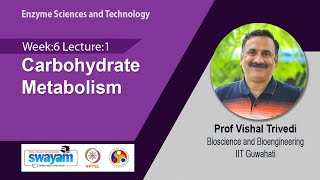 Lec 28 Carbohydrate Metabolism [upl. by Nylaret192]