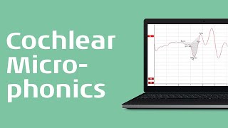 How to Record the Cochlear Microphonic CM [upl. by Meadows]