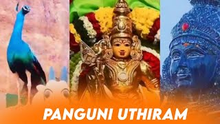 panguni uthiram whatsapp status tamil  🙏🙏🙏murugan WhatsApp status tamil  🙏🙏🙏god murugan status [upl. by Rebeh]