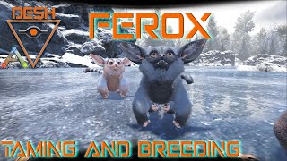 Ferox Taming and Breeding  ARKSurvival Evolved [upl. by Akli805]