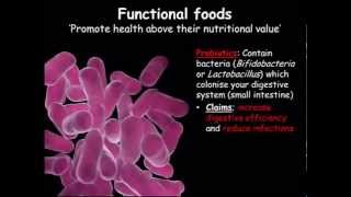 B2 Functional Foods [upl. by Anitnelav]