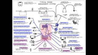 Instructor Series Inputs outputs amp PCM [upl. by Sharona]