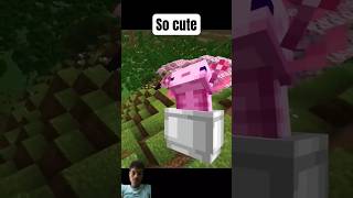 Minecraft MEMES That Are ACTUALLY Funny [upl. by Acir22]