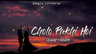 Cholo Pakhi Hoi Slowedreverb  Arman Malik  Palak Muchhal  Shaan  Bangla LofiVerse [upl. by Melody701]