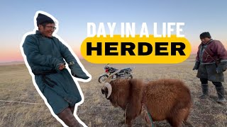 Малчин хүний нэг өдрийн амьдрал хэрхэн өрнөдөг вэ  Day in a life of Herder [upl. by Tigram5]