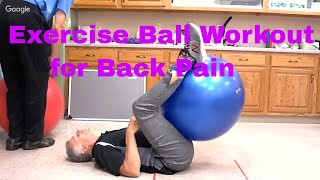 Exercise Ball Workout for Back Pain Swiss Stability or Physio Ball [upl. by Dobbins263]