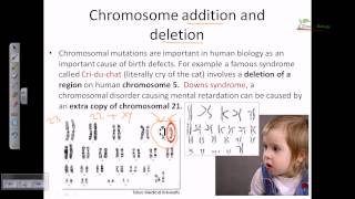 Chromosomal mutation [upl. by Hosbein]