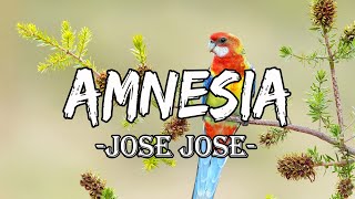 José José  Amnesia letra [upl. by Dhaf]