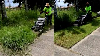 This Overgrown Corner Block Was An Eye Sore  Now The Tidiest In The Street asmr [upl. by Cran]