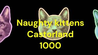 Puzzle Time Lapse Naughty kittens Castorland 500 [upl. by Ydissahc]