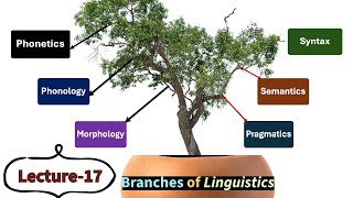 Lecture17 Branches of Linguistics Phonetics Phonology Morphology Syntax Semantics etc [upl. by Nivag]