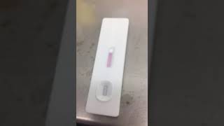 JOYSBIO SARSCOV2 Antigen Rapid Test Kit  Field Video from EU User [upl. by Yankee]