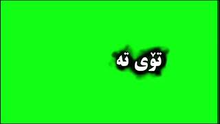 Texte sawz💚تئ كستى سه وز [upl. by Ellednahs880]