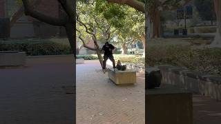 Marko amp Zander at UCLA 📹 Mike skateboarding skatelife skater sk8 skate skateboard [upl. by Sass539]