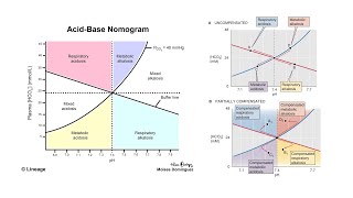 AcidBase Disorders amp Davenport Graph  By Kshithij [upl. by Nairret]