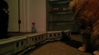 Modified Lego 10020 Santa Fe Super Chief with SBrick and Cat [upl. by Atikat13]