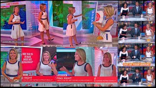 Dylan Dreyer Meteorologist extraordinaire Blending beauty business y barometrics [upl. by Yevreh]