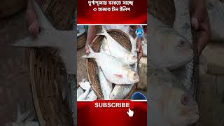 অবশেষে ভারতে যাচ্ছে ৩ হাজার টন ইলিশ brakingnews newviewtv [upl. by Shelley]