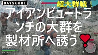 【DAYSGONE】アイアンビュートランチの大群を製材所に引き連れ戦う！ 超大群戦！ D（やばい、数が多すぎる・・・） [upl. by Ettennej]