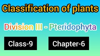 PteridophytaClass9 chapter6science part 2 [upl. by Anauq]