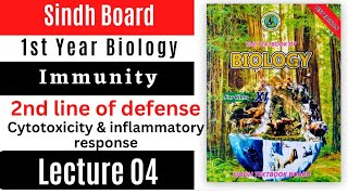 cytotoxicity  inflammatory response  second line of defense  immunity  class 11 biology Sindh [upl. by Giddings]