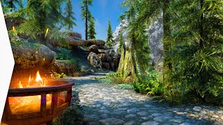 Starting A New Game  Ultra Modded SKYRIM Graphics Mods amp DynDOLOD Infinite Grass [upl. by Kobi]