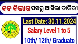 Odisha Forest Department Recruitment  Odisha Govt Forest Division Jobs  Odisha Govt Jobs  YouTube [upl. by Izabel]