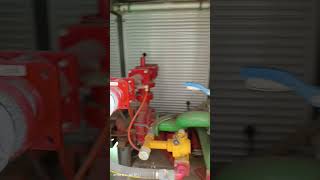 Shipyard Fire Pump viralvideo shorts shortvideo [upl. by Eahsan668]