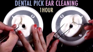 ASMR 1 Hour of Ear Cleaning wDental Pick amp Tweezers No Talking [upl. by Rovert]