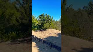 Dune di Sabaudia mtb ride active bike cycling [upl. by Pyne]