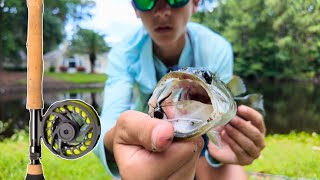 Fly Fishing for Big Bass in Ponds PB [upl. by Conlan]