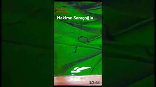 Ebru Sanatı  Marbling Art  Hakime Saraçoğlu ebrusanatı [upl. by Benjie]