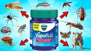 VICKS VAPORUB Hack For Pest Removal  MOSQUITO ANTS FLIES SPIDERS RODENTS COCKROACHES GNATS [upl. by Ettenay]