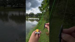 5 CASTS to CATCH A FISH 🔥😎 bassfishing fishing fishingchallenge fishingtips [upl. by Lunn507]